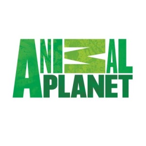 Animal-Planet-Logo-Font